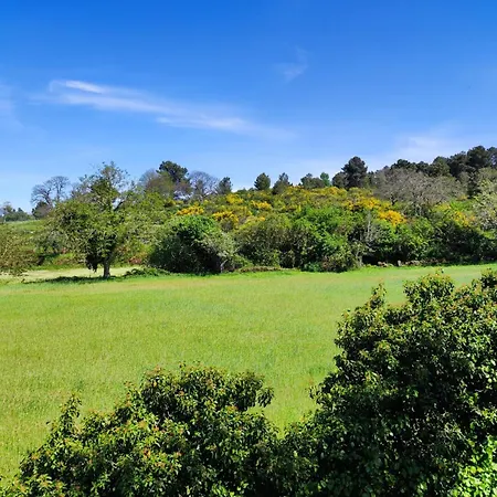 Casa Da Martha Hébergement de vacances Celorico Da Beira
