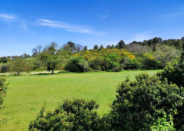 Casa Da Martha Feriehus Celorico Da Beira